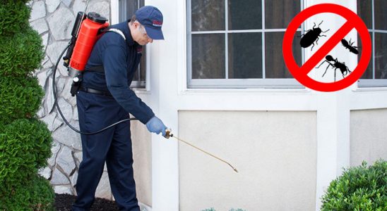 Kırıkkale Kemirgen İlaçlama böcek ilaçlama ve haşere kontrolü — ilaclama-tr.com